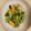 ピーナッツ子♪'s cooksnap of when they made 小松菜と油揚げの甘辛コチュジャン炒め♪.