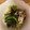 dollyj's cooksnap of when they made 豚こまと小松菜の炒め煮。.
