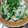 Coo1215's cooksnap of when they made 豚バラ&クリチきゅうりの梅肉和え☆レンジ.