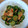 みぃくんのママ's cooksnap of when they made ちょっぴり残ったキムチで胡瓜の漬物.