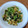 みぃくんのママ's cooksnap of when they made 簡単！卵と小松菜の中華炒め.