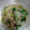 クック2O2RWD☆'s cooksnap of when they made ほうれん草とゆで豚のポン酢和え　.