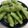 ★★★あんず★★★'s cooksnap of when they made 枝豆の塩茹で（2024）.