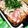 Naoたろう's cooksnap of when they made ブラボー…炊き肉.