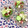 ふたごゆき's cooksnap of when they made 新玉ねぎときゅうり、タコのサラダ.