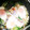 mizuhodayo's cooksnap of when they made あと1品に☆ほうれん草の巣籠もり卵.