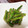クックDGBPK8☆'s cooksnap of when they made いんげんのごま和え。.