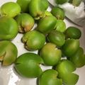 M☆T☆satou☆'s cooksnap of when they made すぐ出来る♬かんたんカリカリ梅♡.