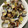 piro2kc's cooksnap of when they made 【簡単】基本のアサリの酒蒸し.