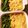 ame-ikuru's cooksnap of when they made アスパラのにんにく炒め.