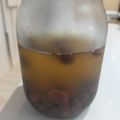 bosabossa's cooksnap of when they made お手軽♪自家製レーズン酵母液の作り方.