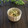 まろんかふぇ's cooksnap of when they made 油揚げと胡瓜とえのき茸の胡麻酢和え❀.
