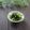まろんかふぇ's cooksnap of when they made ゴマ油香るほうれん草の塩麹ナムル.