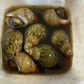 クックN1BNAV☆'s cooksnap of when they made おつまみに最適♪あずき貝（黒バイ貝）煮付.