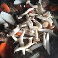 葉月優希's cooksnap of when they made 15分で！時短で簡単＊煮込みハンバーグ.