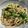 こつゆ514's cooksnap of when they made 蕎麦とブロッコリースプラウトのもろみ和え.