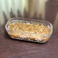 紅峰のマッタリ時間's cooksnap of when they made 薬膳 生姜ごはん.