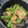 くーー〜's cooksnap of when they made 簡単懐かしい味!ささげ,揚げ,蒟蒻の煮物.