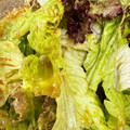なーなちゃん's cooksnap of when they made 【料理上手の母直伝】簡単チョレギサラダ.