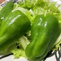 マイ©'s cooksnap of when they made 冷やすだけ！苦くない☆パリパリピーマン.