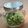 クックHeart☆♪'s cooksnap of when they made 山椒の実の塩漬け.