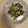 ピーナッツ子♪'s cooksnap of when they made 小松菜とワカメと卵の炒め物.