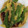 あえひろ207's cooksnap of when they made すき焼きのたれで＊厚揚げ卵とじ.
