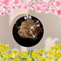 ☆hironon☆'s cooksnap of when they made ☆レンジで簡単副菜♪えのきの梅和え☆.