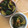 クック4DK504☆'s cooksnap of when they made 【作り置き】きゅうりのにんにく醤油漬け.