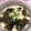ぽちゃすけ's cooksnap of when they made 悪魔のとろろご飯.