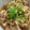 TYSK's cooksnap of when they made とろ～り♪くずし豆腐＆豚肉＆きのこ煮込み.