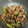 えみりんたん's cooksnap of when they made 簡単！激ウマ！豚肉と小松菜の醤油炒め.