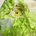 けい♫'s cooksnap of when they made レタスの保存法　つま楊枝編.