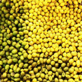 ややべべママ's cooksnap of when they made 実山椒の下処理.