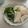 きらり流れ星's cooksnap of when they made ポリ袋で♪かぶ丸ごと塩こうじ漬け.