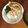 Ruriluru's cooksnap of when they made 鮭フレークご飯.
