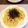 ＴＯＭＯ ＹＵ's cooksnap of when they made なめ茸クリームパスタ.