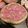 ぽんぽんぐ's cooksnap of when they made やっぱり美味しい！椎茸の肉詰め.