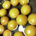 ハタレンコン's cooksnap of when they made 炊飯器で簡単 青梅の甘露煮.
