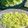 こつゆ514's cooksnap of when they made ちらし寿司に失敗無し薄焼き卵・錦糸卵コツ.