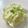 azbjbn's cooksnap of when they made 新たまねぎのマリネ.
