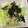 ま−。's cooksnap of when they made ☆さっぱり簡単♪レタスとしらすのサラダ☆.
