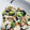 まりぽこぽん☆'s cooksnap of when they made 家庭料理の定番！ほうれん草の白和え.