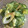 snow012's cooksnap of when they made ちくわときゅうりと卵の和風マヨ合え.