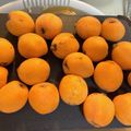 クックX9XVI6☆'s cooksnap of when they made びわジャム.