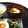 クックDAD's cooksnap of when they made 赤味噌汁.