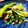 クックDGCFO3☆'s cooksnap of when they made 青梗菜とひき肉のオイスター炒め.