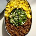 SAsunny's cooksnap of when they made のっけ弁当2023.06.20そぼろ弁当.