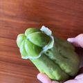 なおなお１０２２'s cooksnap of when they made はやとうりのアク抜き＆下処理の方法.