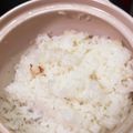 クック4QZKLR☆'s cooksnap of when they made 土鍋ご飯（１合）.